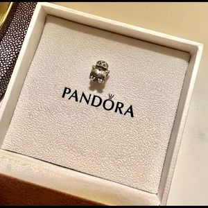 Pandora charm